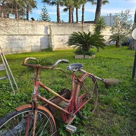 Bed & Breakfast Sant'antonio Collepasso