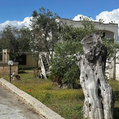Bed and breakfast Sant'antonio